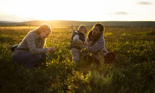 Tilbakeblikk: Bildeserie fra Lyden av Skallelv