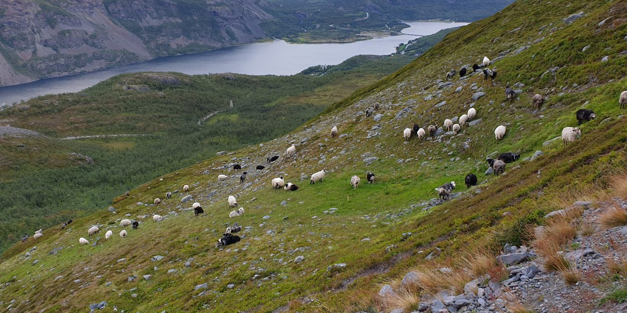 Omfatter også kvenske kjerneområder: Vil jobbe fram ny forvaltningsordning