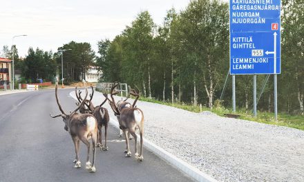 Har holdt på i 40 år