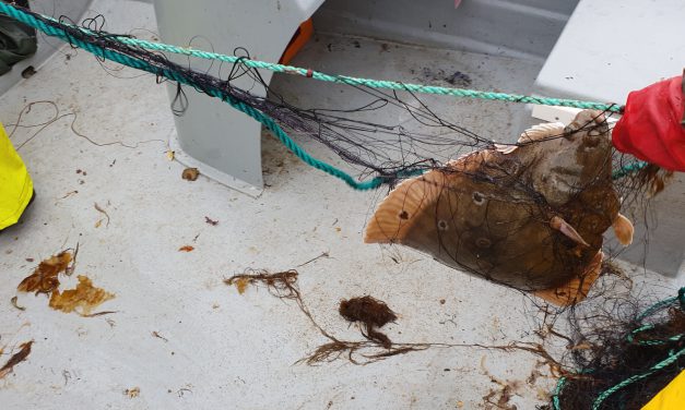 «Hva er viktig å ta vare på for framtiden?»