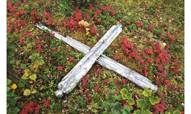 GRAVKORS • HAUTARISTI