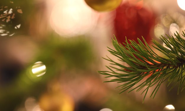 Her kan du lese vinnerdiktene fra den kvenske skrivekonkurransen