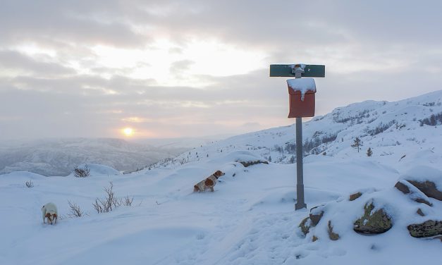 Talven jalanjäljissä • I vinterens fotspor