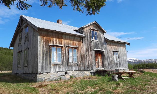 Tolv perler fikk penger