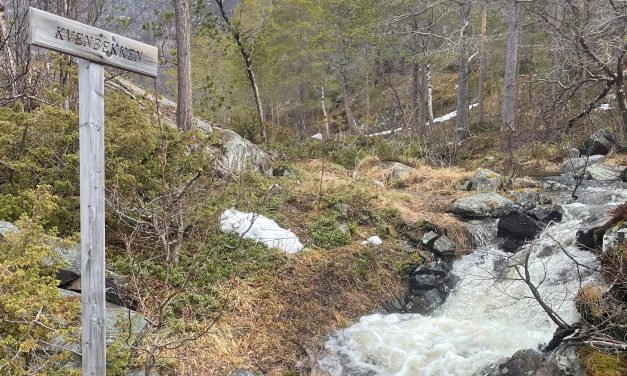 Pisara meressä • En dråpe i havet