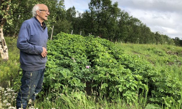 Fra Kuusamo til Gjøkenes