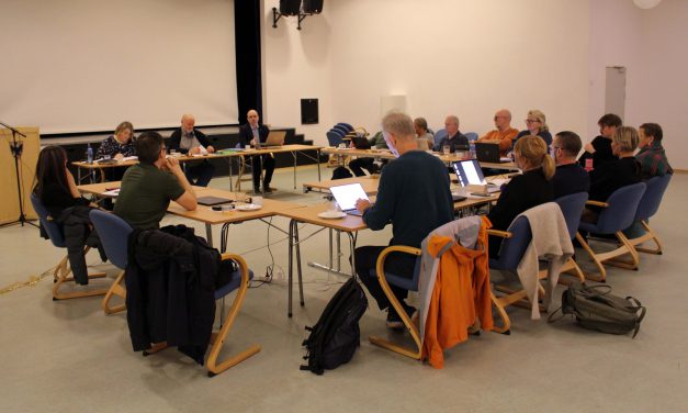 «Egner seg til mindre regionale og lokale tiltak»