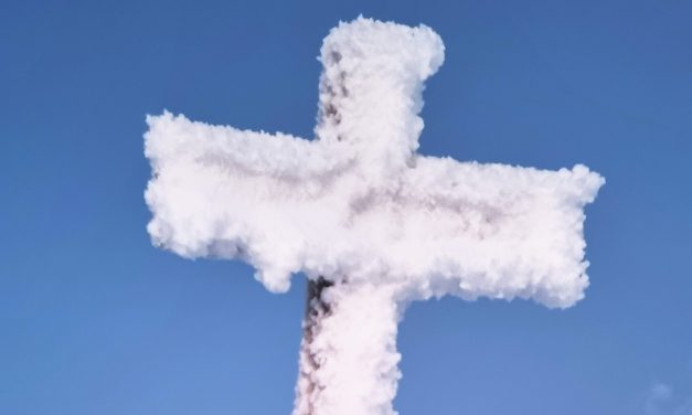 Vinterkors • Talviristi