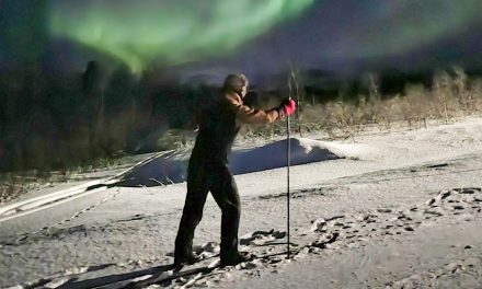 Hør vinterskogens ro • Kuuntele talven metsän rauhaa