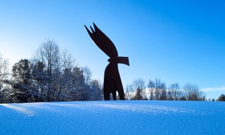 Fyldig markering i Alta: Stiller med Arvola, Hoel og mange andre