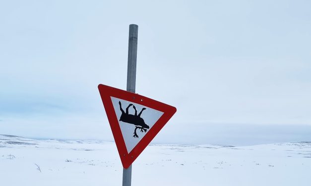 Uvanlig fareskilt • Epätavallinen vaarakyltti