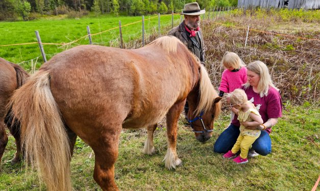 – Et flott symbol på tre-stammers møtet i nord
