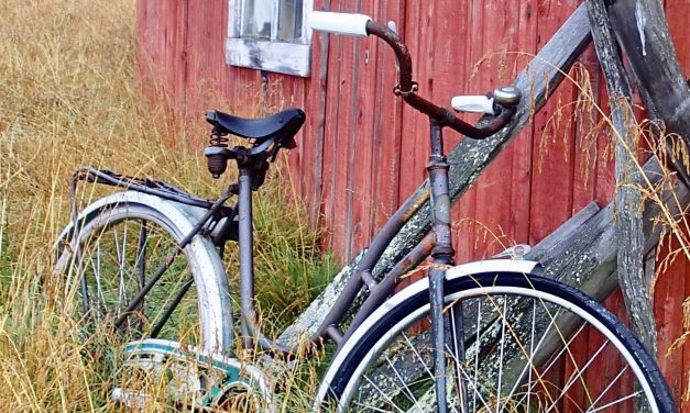 Gammel sykkel • Vanha polkupyörä