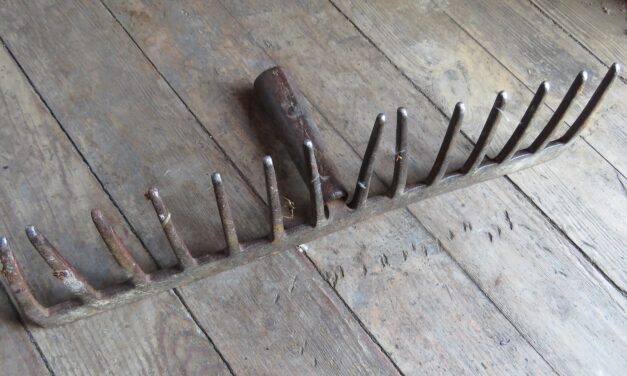 Jernrive • Rautaharava