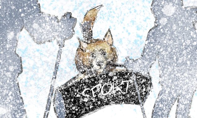 Kissanpiinaa ja päässiäisfeeriätä