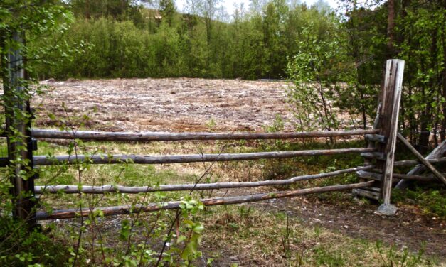 Grind av tre • Vöräjä