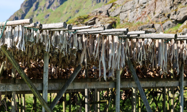 Leserinnlegg: Fiskeripolitikk uten ansvar for kysten