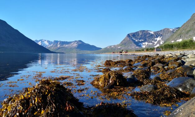 Man må finne hvile i sin kvenske identitet