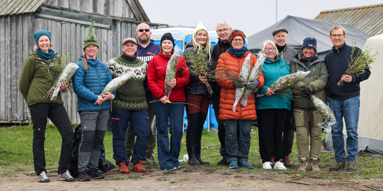Sauna med lime, en viktig del av Vadsø-hverdagen