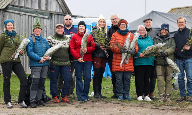 Sauna med lime, en viktig del av Vadsø-hverdagen
