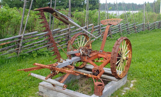 Gammel slåmaskin • Vanha niittomasiini