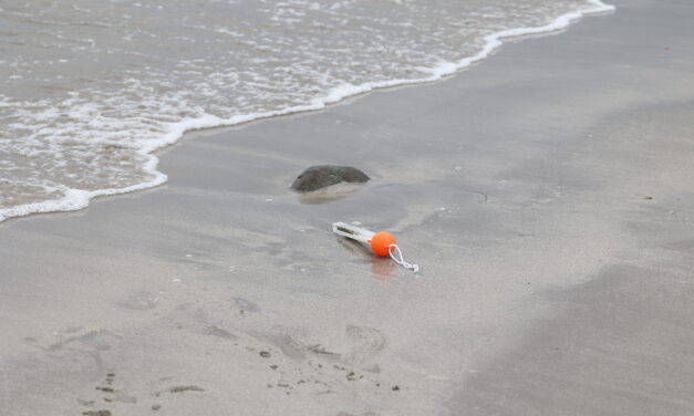 Forlatt badetermometer • Unhotettu uimatermomeetterin