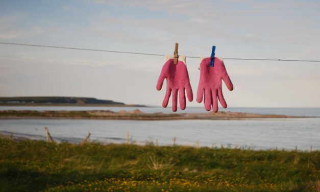 Nyttig nytt fra nord