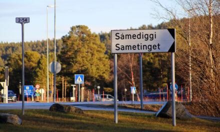 «Ikke en reell lovtolking»
