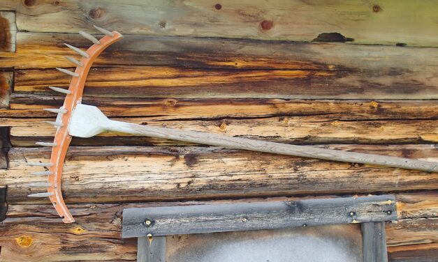 Puuharava • Rive av tre