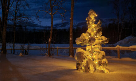Julekalender 2024: 4. desember