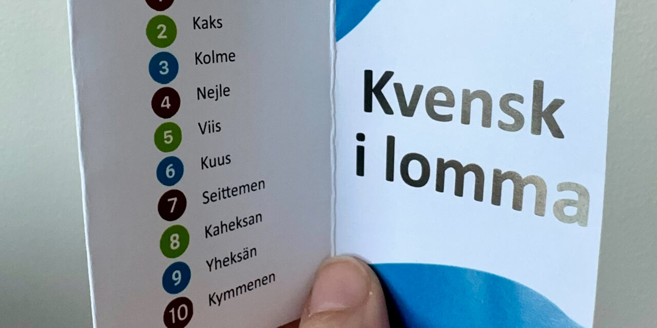 Kielen näkyvyys samfunissä – plakkarisanalistasta reflekshiin