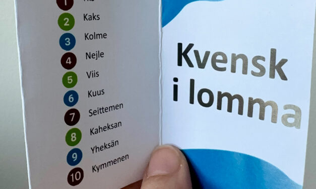 Kielen näkyvyys samfunissä – plakkarisanalistasta reflekshiin