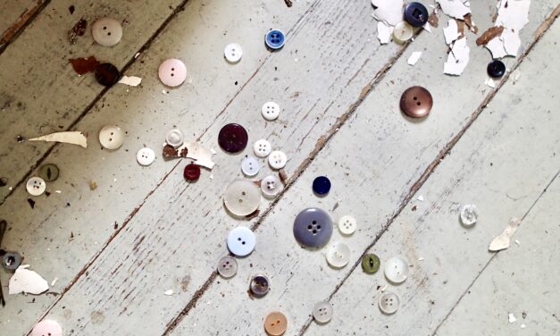 Assorterte knapper • Sorteerattuja knappia