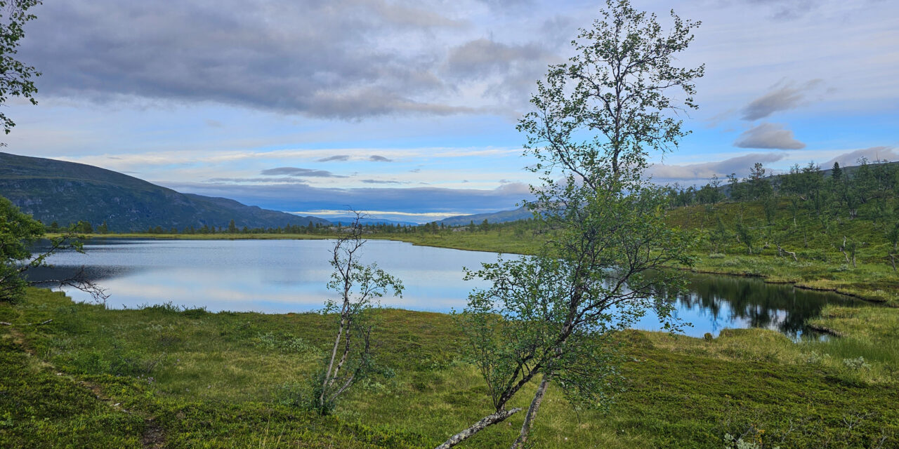 Høring på navn i flere naturreservat