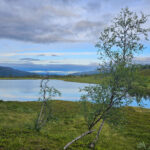 Høring på navn i flere naturreservat