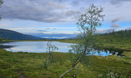 Høring på navn i flere naturreservat