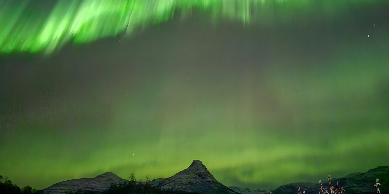 Adventskalender 21. desember