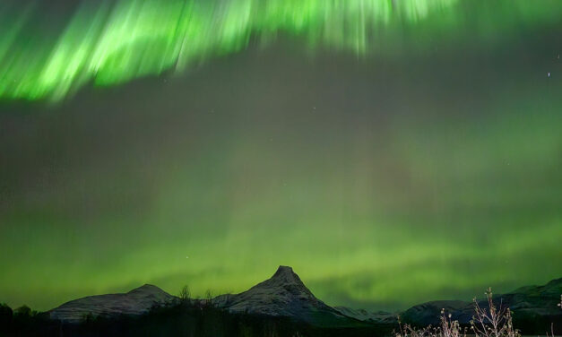 Adventskalender 21. desember