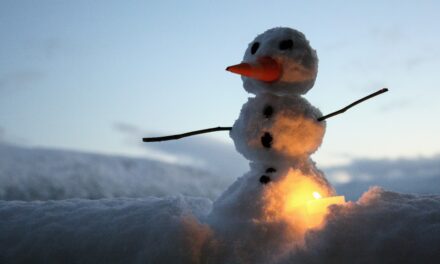 Adventskalender 2. desember