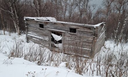 November: Lær mer kvensk med Ruijan Kaiku