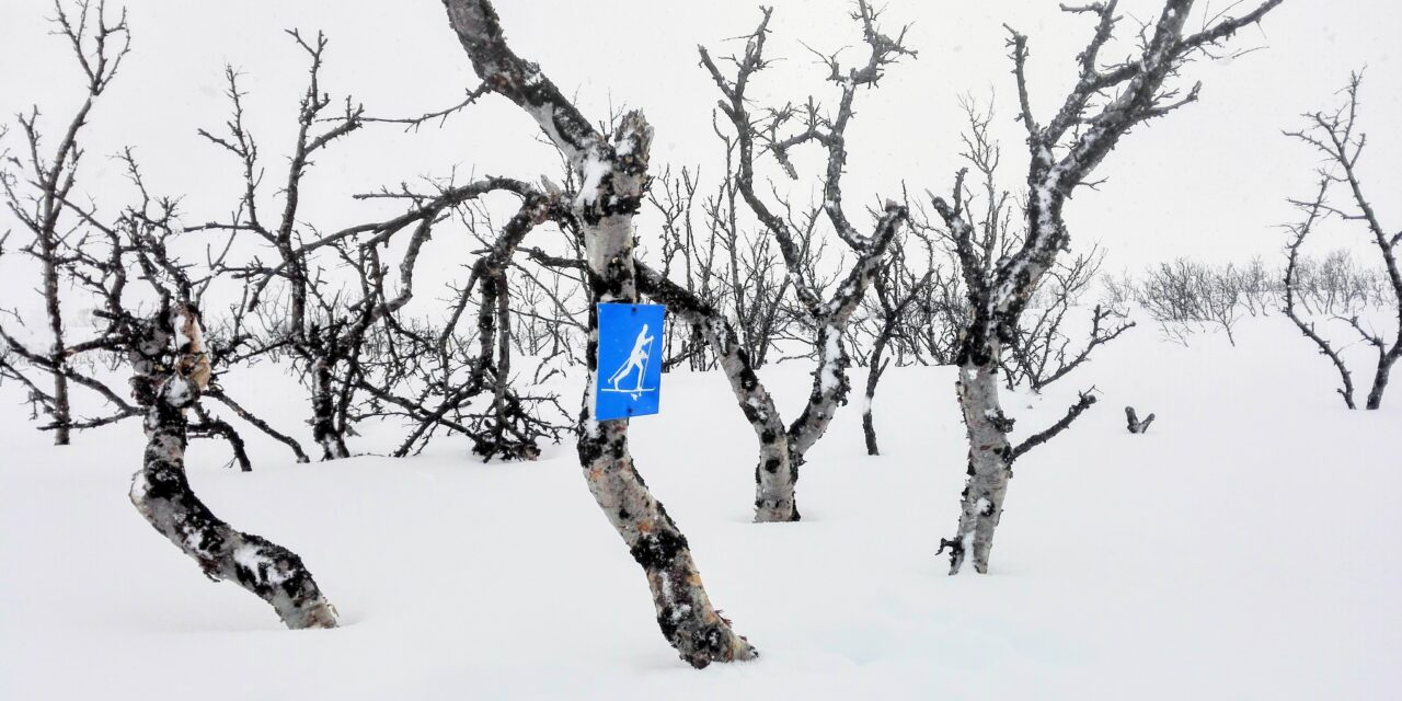 Adventskalender 6. desember