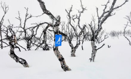 Adventskalender 6. desember