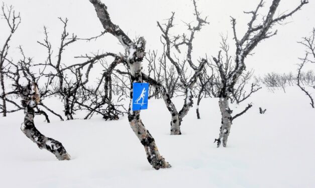 Adventskalender 6. desember