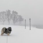 Adventskalender 3. desember