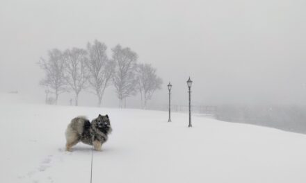 Adventskalender 3. desember