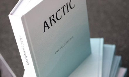 Erkjenner mangler: – Vi dekker bare en brøkdel