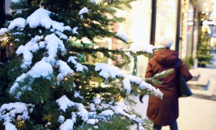 Adventskalender 9. desember