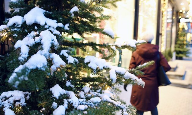 Adventskalender 9. desember