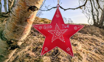 Adventskalender 22. desember