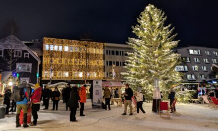 Adventskalender 8. desember